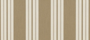 4954-0000