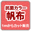 �R�ۃJ���[���z